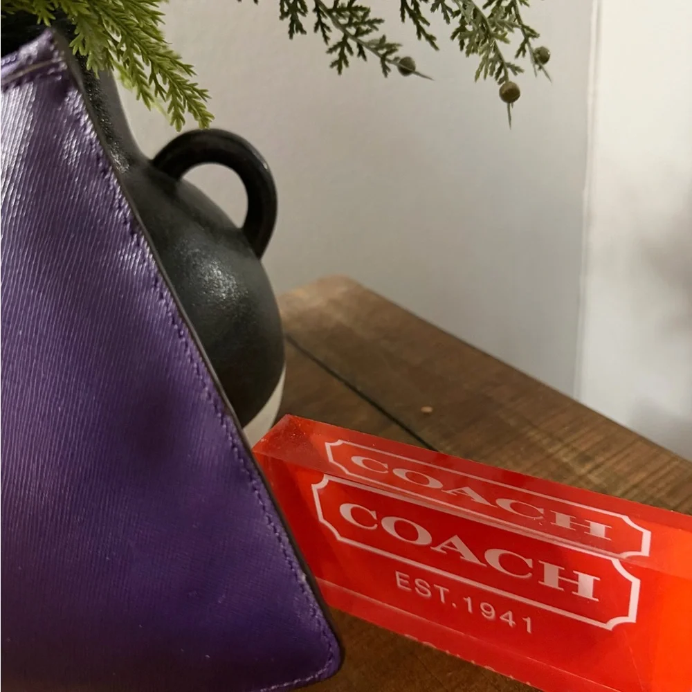 Coach Darcy Cheetah Bear Pouch (NWT)